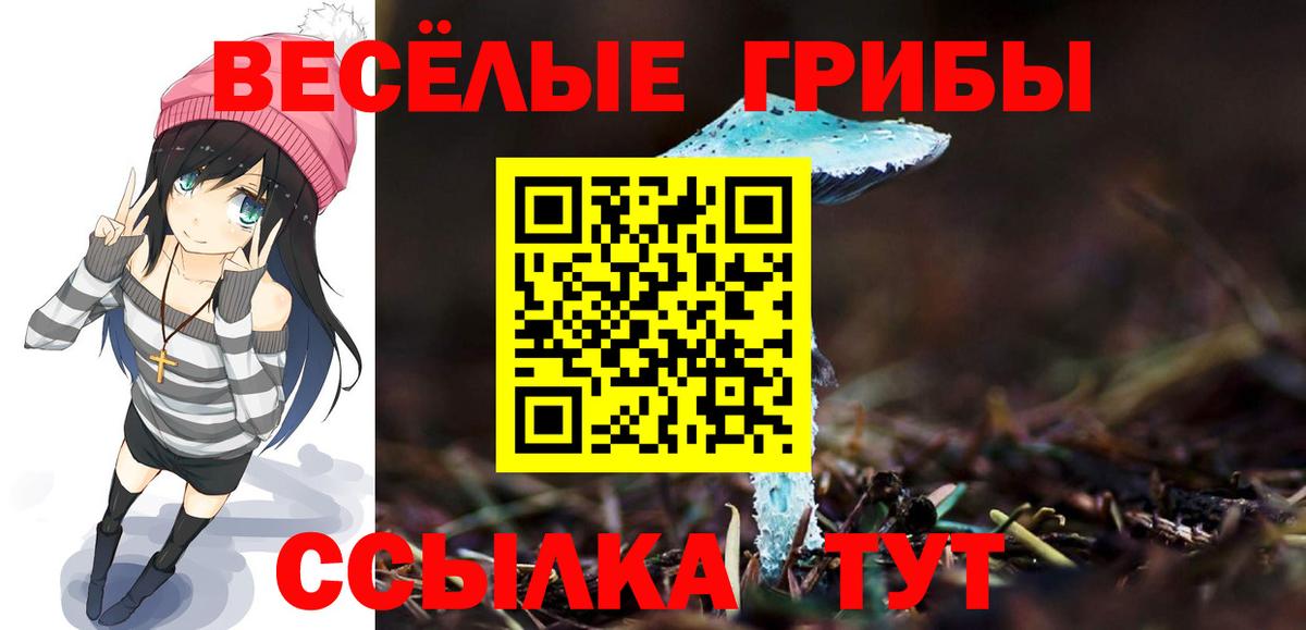 Кубинка  Псилоцибиновые грибы мицелий  Вход с VPN 